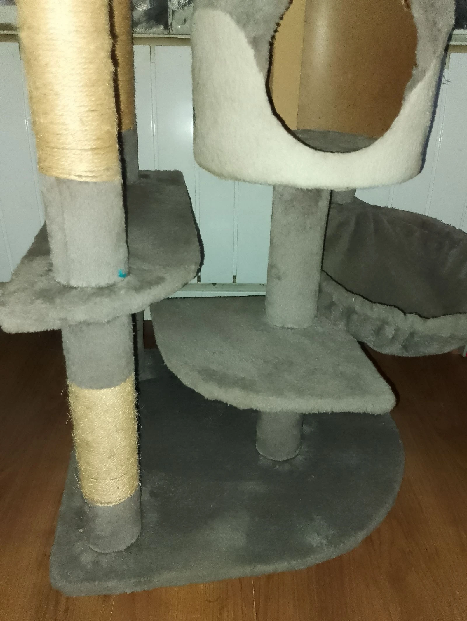 Grande árvore de gato 2M de altura – photo 17